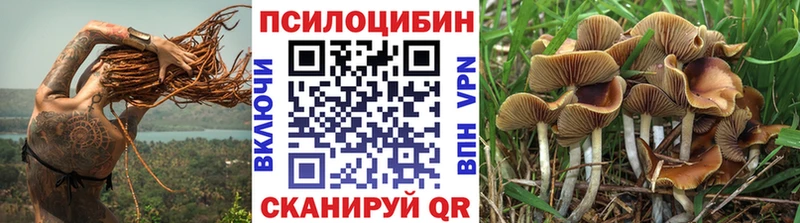 Галлюциногенные грибы прущие грибы Черногорск